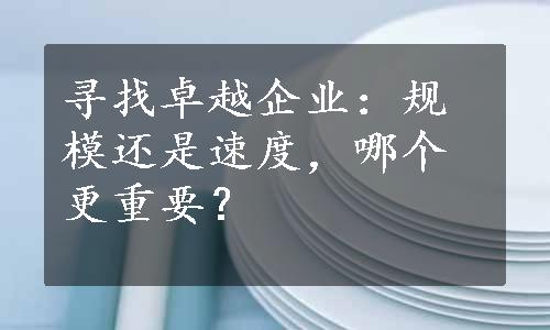 寻找卓越企业：规模还是速度，哪个更重要？