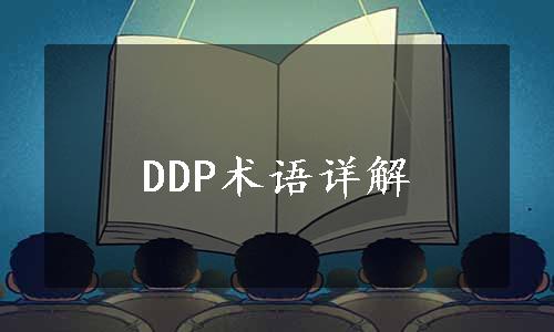 DDP术语详解