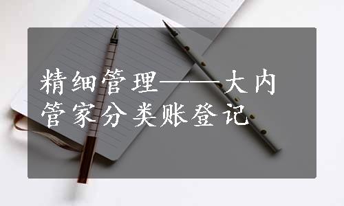 精细管理——大内管家分类账登记