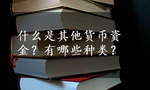 什么是其他货币资金？有哪些种类？