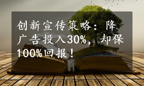 创新宣传策略：降广告投入30%，却保100%回报！