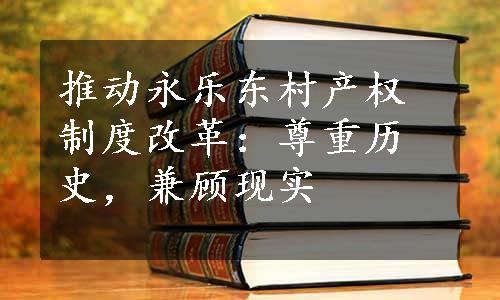 推动永乐东村产权制度改革：尊重历史，兼顾现实