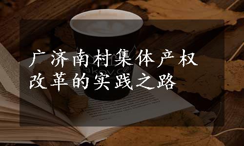 广济南村集体产权改革的实践之路