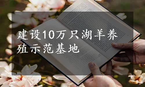 建设10万只湖羊养殖示范基地