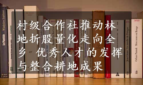 村级合作社推动林地折股量化走向全乡 优秀人才的发挥与整合耕地成果