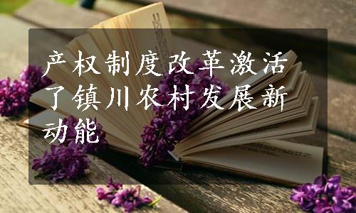 产权制度改革激活了镇川农村发展新动能