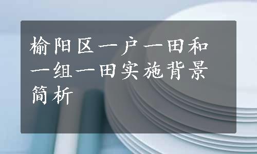 榆阳区一户一田和一组一田实施背景简析