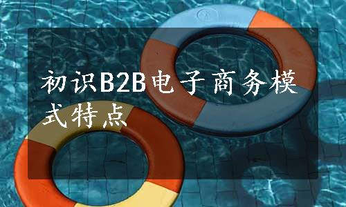 初识B2B电子商务模式特点