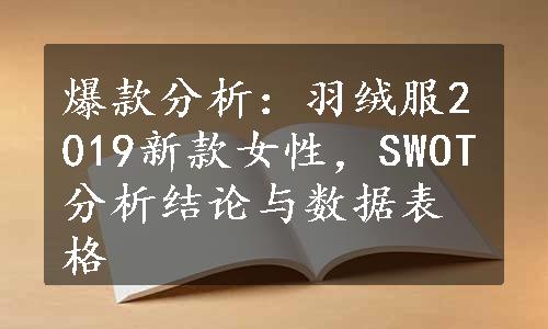 爆款分析：羽绒服2019新款女性，SWOT分析结论与数据表格