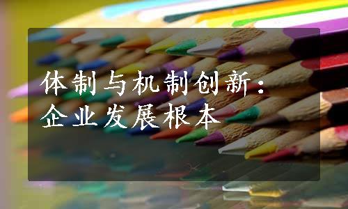 体制与机制创新：企业发展根本