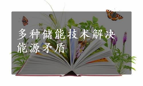 多种储能技术解决能源矛盾