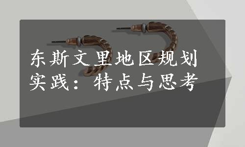 东斯文里地区规划实践：特点与思考