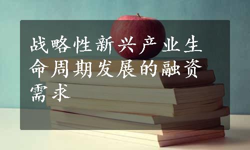 战略性新兴产业生命周期发展的融资需求