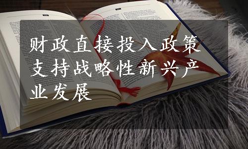 财政直接投入政策支持战略性新兴产业发展