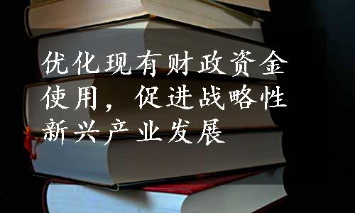 优化现有财政资金使用，促进战略性新兴产业发展