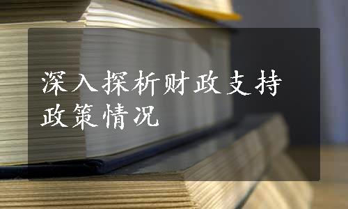 深入探析财政支持政策情况