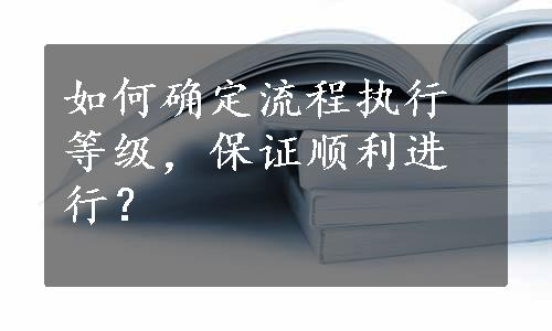 如何确定流程执行等级，保证顺利进行？