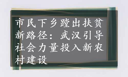 市民下乡蹚出扶贫新路径：武汉引导社会力量投入新农村建设