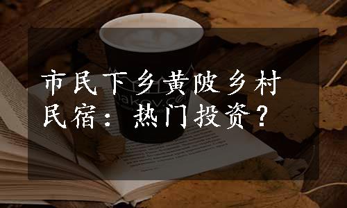 市民下乡黄陂乡村民宿：热门投资？