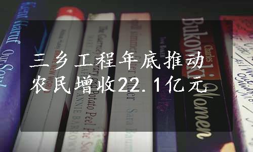 三乡工程年底推动农民增收22.1亿元