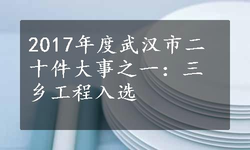 2017年度武汉市二十件大事之一：三乡工程入选