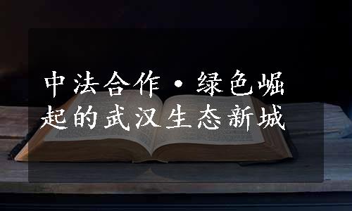 中法合作·绿色崛起的武汉生态新城