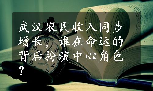 武汉农民收入同步增长，谁在命运的背后扮演中心角色？