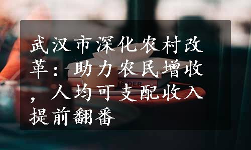 武汉市深化农村改革：助力农民增收，人均可支配收入提前翻番