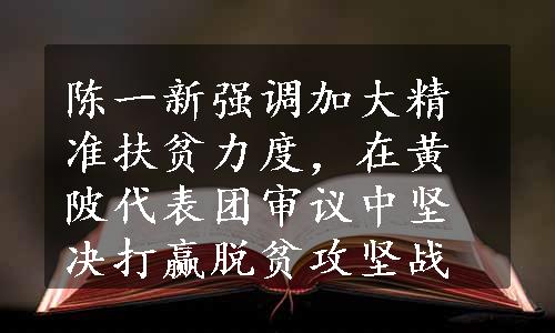 陈一新强调加大精准扶贫力度，在黄陂代表团审议中坚决打赢脱贫攻坚战