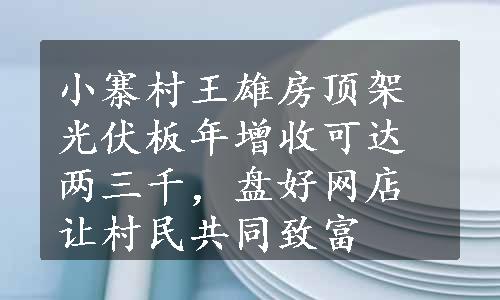 小寨村王雄房顶架光伏板年增收可达两三千，盘好网店让村民共同致富