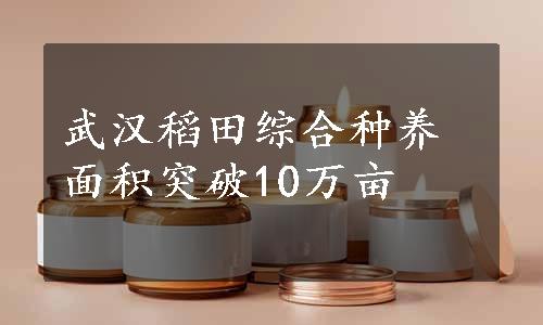 武汉稻田综合种养面积突破10万亩