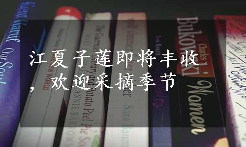 江夏子莲即将丰收，欢迎采摘季节