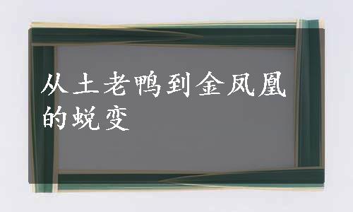 从土老鸭到金凤凰的蜕变