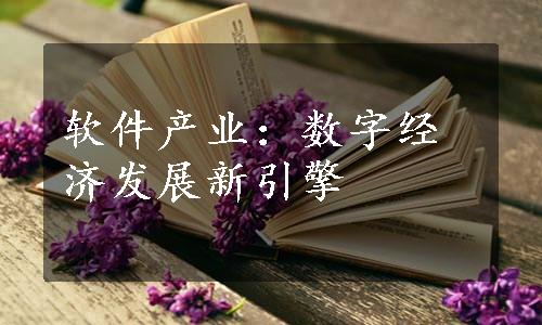 软件产业：数字经济发展新引擎