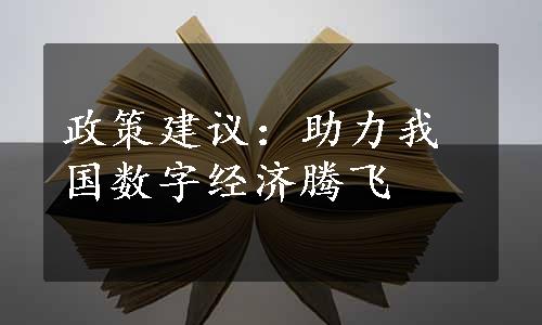 政策建议：助力我国数字经济腾飞