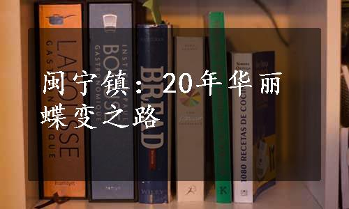 闽宁镇：20年华丽蝶变之路