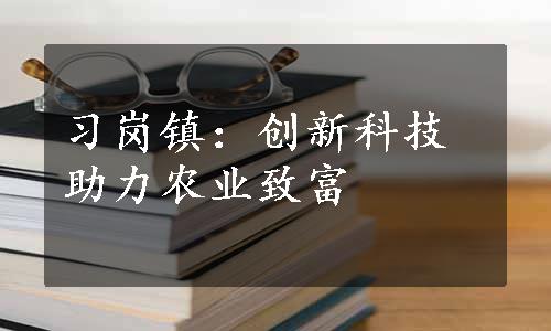 习岗镇：创新科技助力农业致富