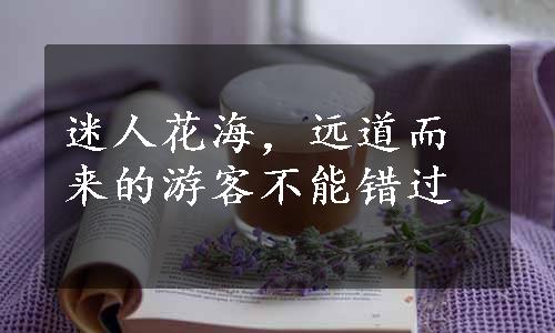 迷人花海，远道而来的游客不能错过