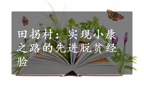 田拐村：实现小康之路的先进脱贫经验