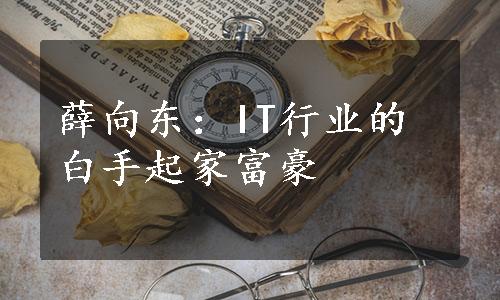 薛向东：IT行业的白手起家富豪