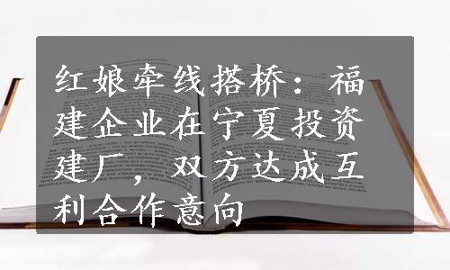 红娘牵线搭桥：福建企业在宁夏投资建厂，双方达成互利合作意向