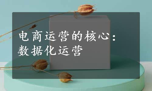 电商运营的核心：数据化运营