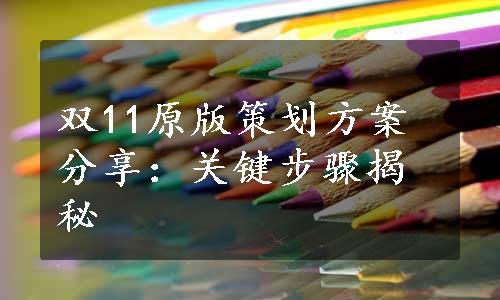 双11原版策划方案分享：关键步骤揭秘