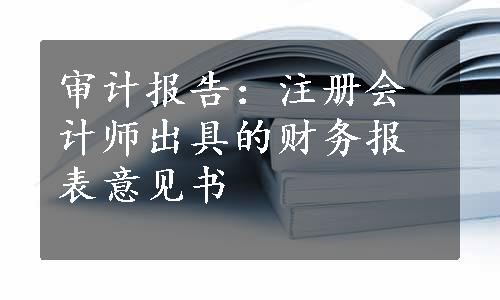 审计报告：注册会计师出具的财务报表意见书