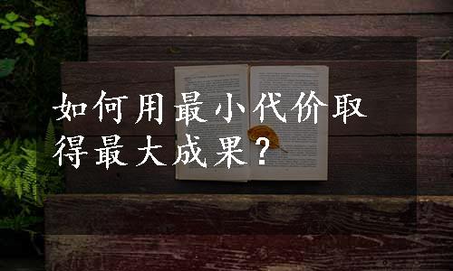 如何用最小代价取得最大成果？