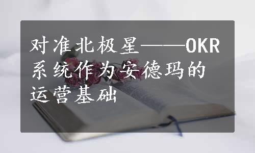 对准北极星——OKR系统作为安德玛的运营基础