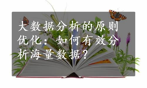 大数据分析的原则优化：如何有效分析海量数据？