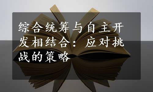 综合统筹与自主开发相结合：应对挑战的策略