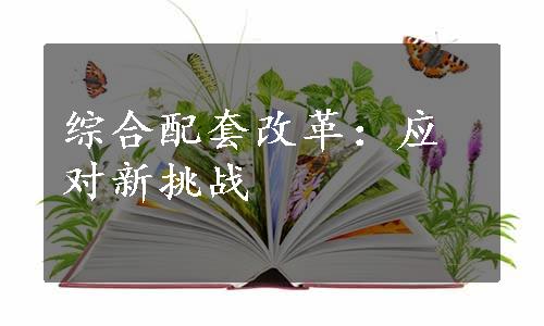 综合配套改革：应对新挑战