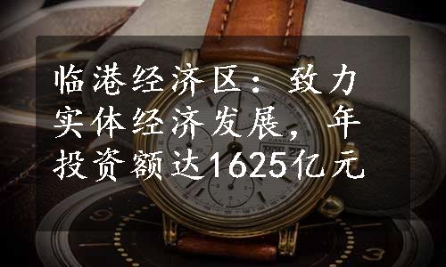 临港经济区：致力实体经济发展，年投资额达1625亿元